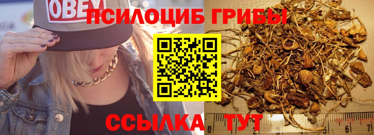 Псилоцибиновые грибы Magic Shrooms  Вход с VPN  Зеленогорск  Галлюциногенные грибы Cubensis 